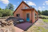 51 Old Forest Trail - Photo 17