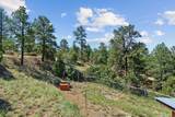 51 Old Forest Trail - Photo 18
