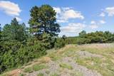 51 Old Forest Trail - Photo 19
