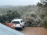 51 Old Forest Trail - Photo 20