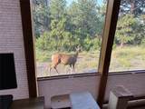51 Old Forest Trail - Photo 22