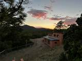 51 Old Forest Trail - Photo 25
