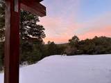 51 Old Forest Trail - Photo 27