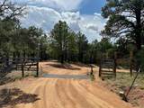 51 Old Forest Trail - Photo 28