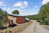 51 Old Forest Trail - Photo 5