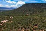 8 Padre Canyon - Lot #16 - Photo 15