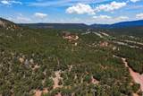 8 Padre Canyon - Lot #16 - Photo 9