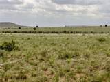 Martinez Pintada Ranch - Photo 9