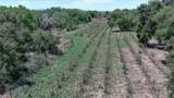 442 Los Pinos Road - Photo 5