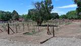442 Los Pinos Road - Photo 58
