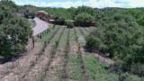 442 Los Pinos Road - Photo 71