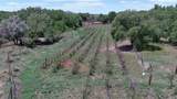 442 Los Pinos Road - Photo 72
