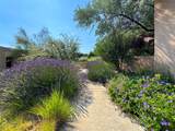 24 Calle Encanto - Photo 43