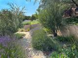 24 Calle Encanto - Photo 51