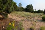 850 Chicoma Vista - Photo 14