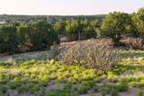 850 Chicoma Vista - Photo 16