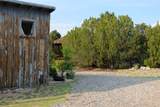 850 Chicoma Vista - Photo 24