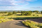 12 Wildlife Way - Photo 10