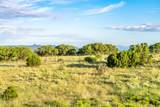 12 Wildlife Way - Photo 13