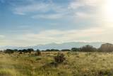 12 Wildlife Way - Photo 15