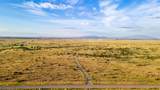 12 Wildlife Way - Photo 4