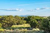12 Wildlife Way - Photo 7