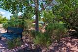 4748 Vista Del Sol - Photo 25