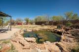 4884 La Junta Del Alamo - Photo 24