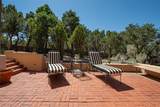 1073 Encantado Drive - Photo 14
