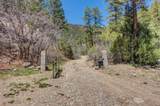 38.43 Acres Sawyer Mesa - Photo 15