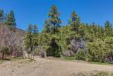 38.43 Acres Sawyer Mesa - Photo 16