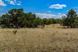 13 Rancho De Bosque - Photo 11
