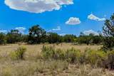 13 Rancho De Bosque - Photo 18