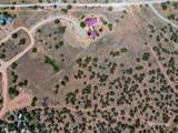 13 Rancho De Bosque - Photo 22