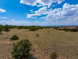 13 Rancho De Bosque - Photo 27