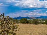 13 Rancho De Bosque - Photo 4