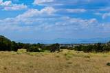13 Rancho De Bosque - Photo 7