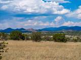 13 Rancho De Bosque - Photo 8