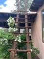 301 El Viento - Photo 6