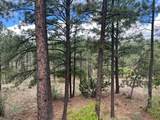 301 El Viento - Photo 7