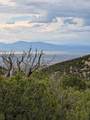 0 Ortiz Mine Grant - Photo 1