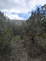 0 Ortiz Mine Grant - Photo 4