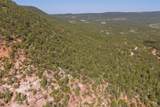 73 (Lot 10) The Cliffs - Photo 41
