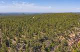73 (Lot 10) The Cliffs - Photo 51