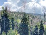 0 Aspen Bluff #5 - Photo 7