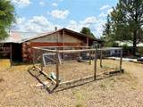 1311 Pecos Street - Photo 29