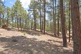 Lot 6A Cool Pines - Photo 18