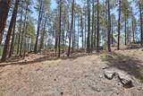 Lot 6A Cool Pines - Photo 19