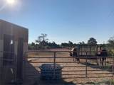 48 Camino Valle - Photo 41