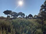 48 Camino Valle - Photo 44